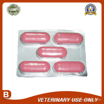 Medicamentos Veterinarios de Closantel + Mebendazole Bolus